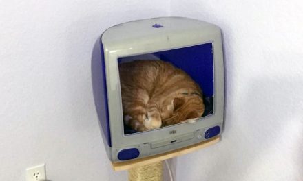 制作一个iMac猫屋